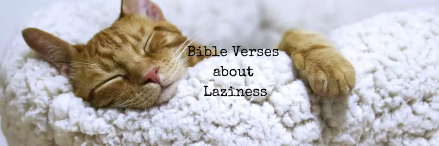 Bible Verses about Laziness