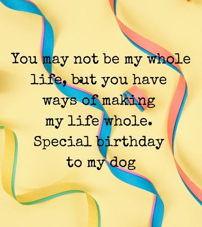 Happy Birthday for Dogs