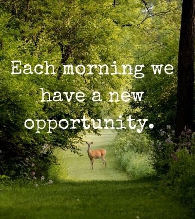 Inspirational Quotes about Life