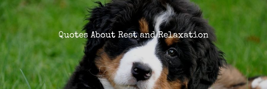 Quotes About Rest and Relaxation