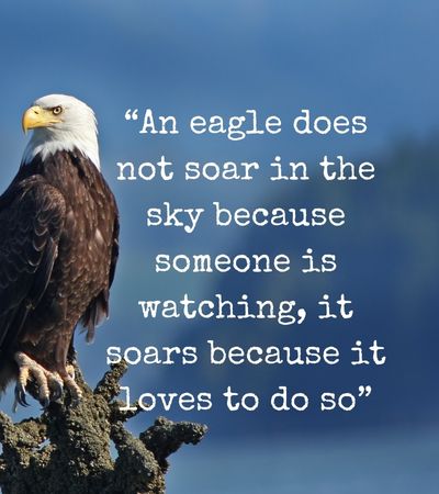 Soar Like an Eagle Quotes
