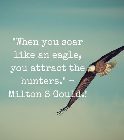 Soaring Eagle Quotes