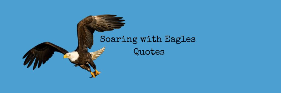 Soaring with Eagles Quotes