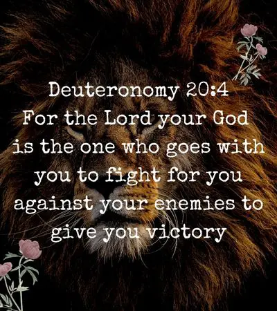 The Lord Will Go Before You and Fight for You