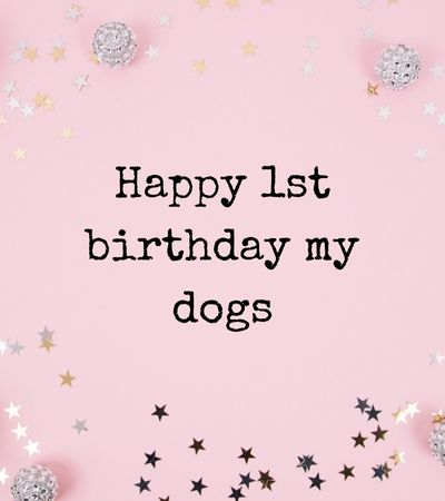 happy 1st birthday my dogs