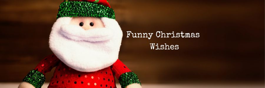 merry christmas friend funny