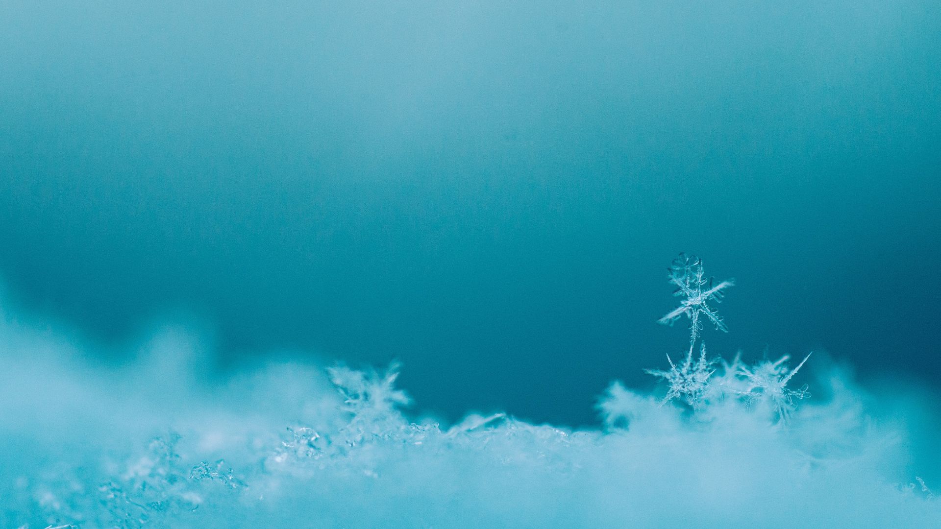 snow xmas background snow xmas background